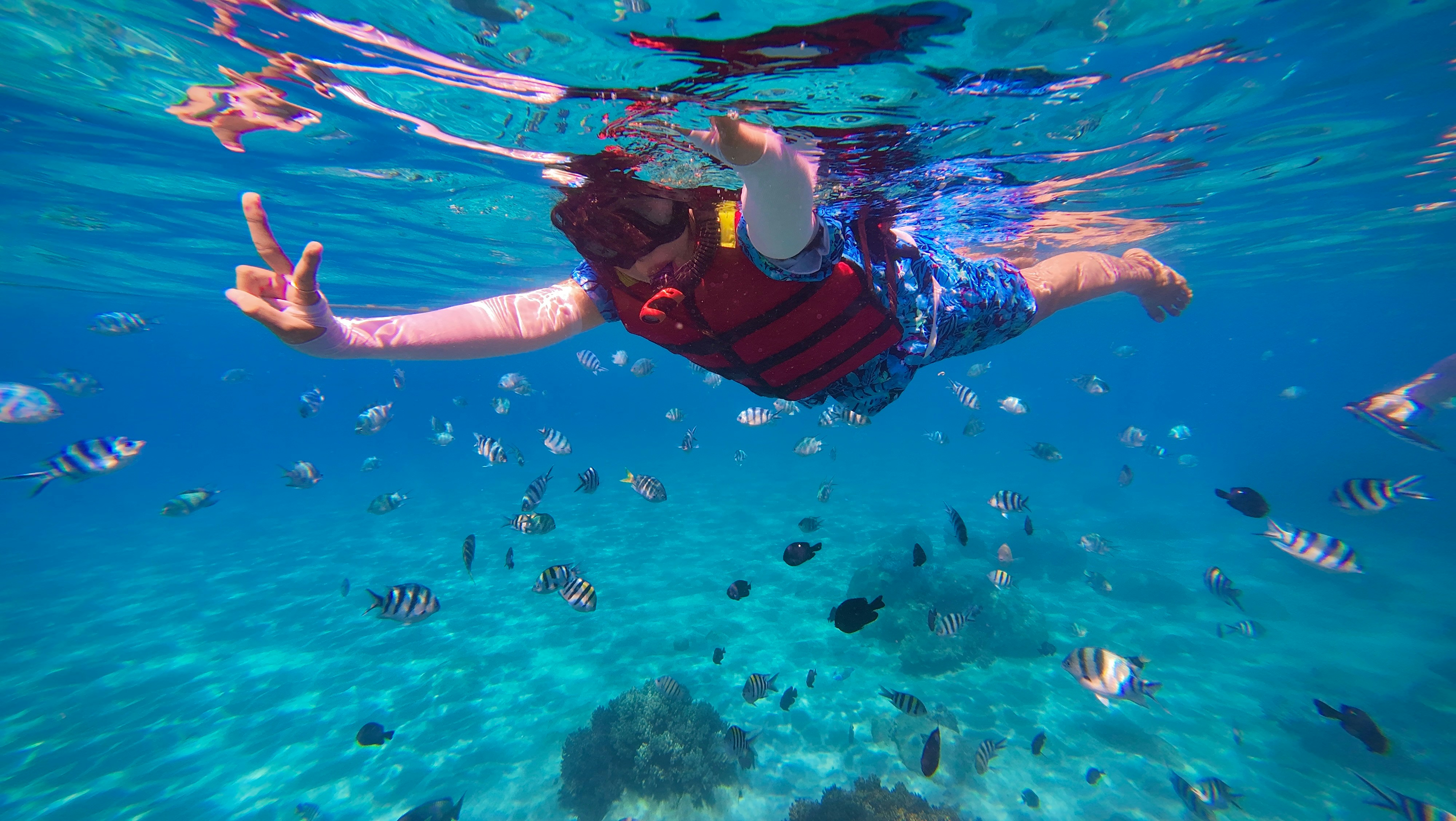 person doing the 'peace' sign with their hands while snorkling underwater with fishes around them